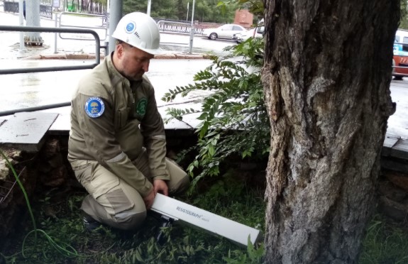 Три дерева-старожила в Челябинске претендуют на звание памятников природы